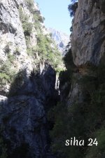 IMG_5783.jpg