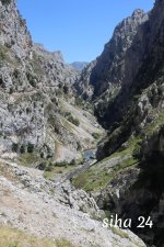 IMG_5789.jpg