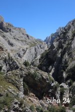 IMG_5792.jpg