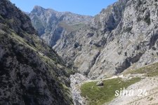 IMG_5798.jpg