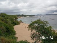IMG_20240817_153619.jpg