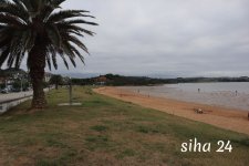 IMG_5907.jpg
