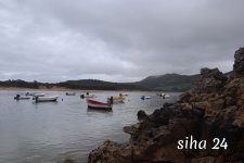 IMG_5866.jpg