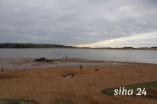 IMG_5905.jpg