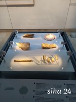 IMG_20240818_100510.jpg