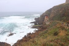 IMG_5901.JPG