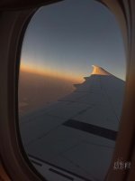 IMG_20230813_190817.jpg
