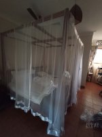 IMG_20230814_084649.jpg