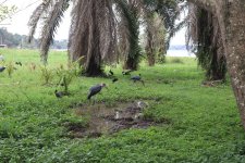 IMG_1867.JPG