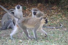 IMG_1878.JPG