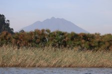 IMG_3140.JPG