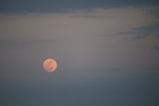 IMG_3197.JPG