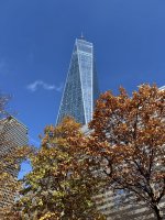 IMG_6074.jpg