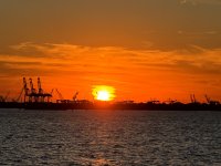 IMG_6433.jpg