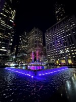 IMG_6517.jpg