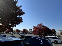 IMG_6683.jpg