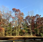 IMG_6727.jpg