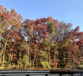 IMG_6728.jpg