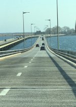 IMG_6729.jpg
