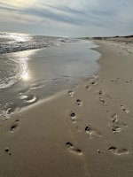 IMG_6734.jpg