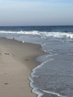 IMG_6759.jpg
