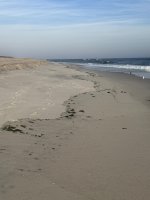 IMG_6760.jpg