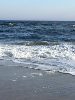 IMG_6763.jpg