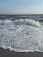 IMG_6764.jpg