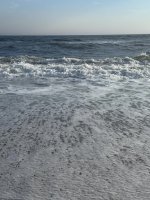IMG_6765.jpg