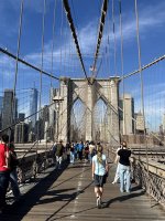 IMG_7084.jpg