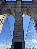 IMG_7097.jpg