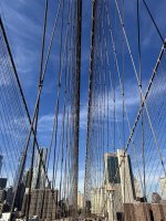 IMG_7098.jpg
