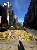 IMG_7115.jpg