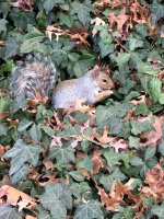 IMG_7162.jpg