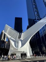 IMG_7343.jpg