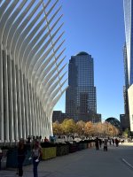 IMG_7353.jpg