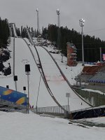 IMG_20250302_130210.jpg