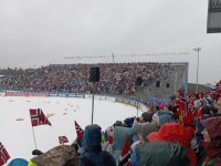 IMG_20250302_135345.jpg