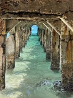 IMG_6201.jpeg