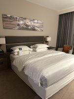 IMG_5321.jpeg