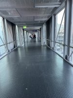 IMG_5338.jpeg