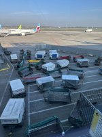 IMG_5339.jpeg