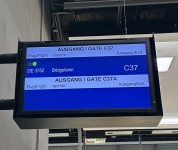 IMG_5345.jpeg