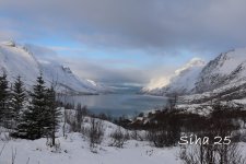 IMG_6454.JPG