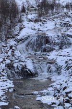 IMG_6457.JPG