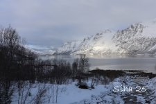 IMG_6459.JPG