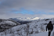 IMG_6465.JPG
