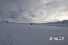 IMG_6468.JPG
