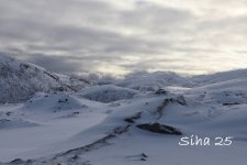 IMG_6480.JPG