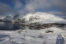 IMG_6509.JPG